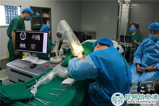 昆明軍海腦科醫(yī)院成功實(shí)施60余例機(jī)器人手術(shù)，為腦科疾病治療開(kāi)辟新天地